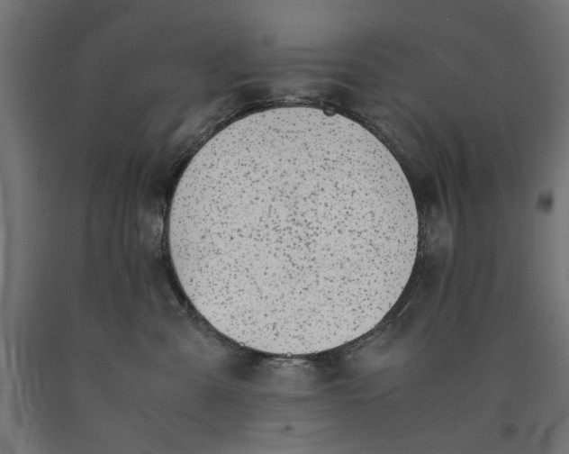X0000090410427200708031047