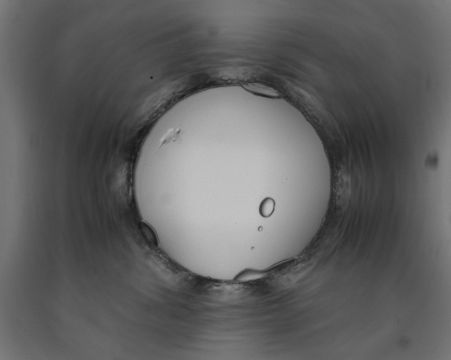 X0000090410428200708031047