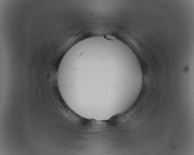 X0000090410429200708031046