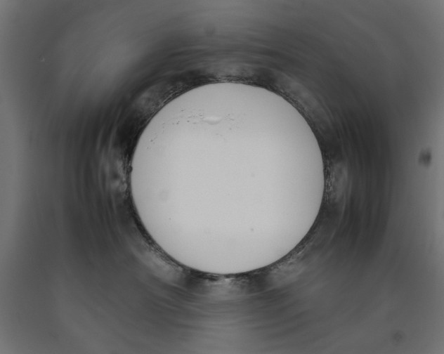 X0000090410430200708031046