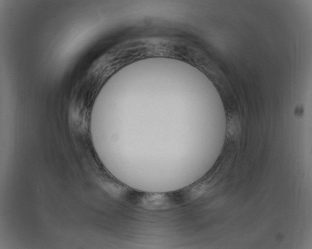 X0000090410431200708031046
