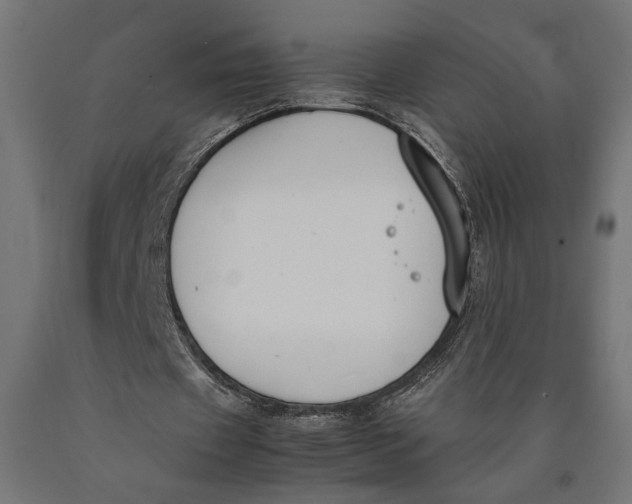 X0000090410433200708031046
