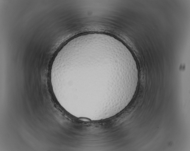 X0000090410434200708031046
