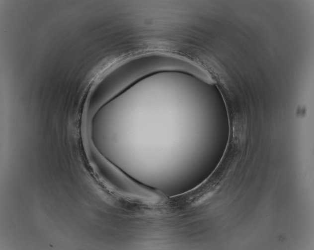 X0000090410436200708031046