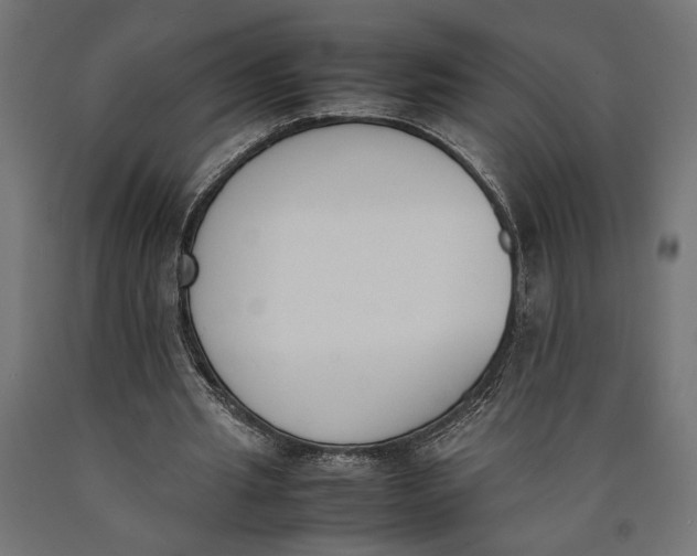 X0000090410437200708031046