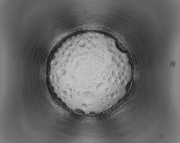 X0000090410438200708031046