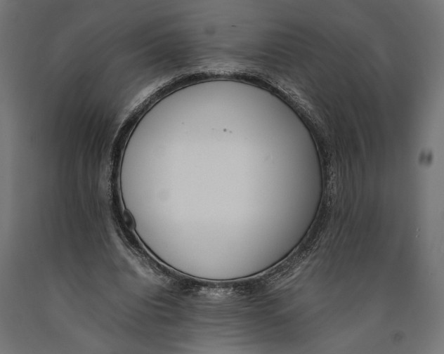 X0000090410440200708031046