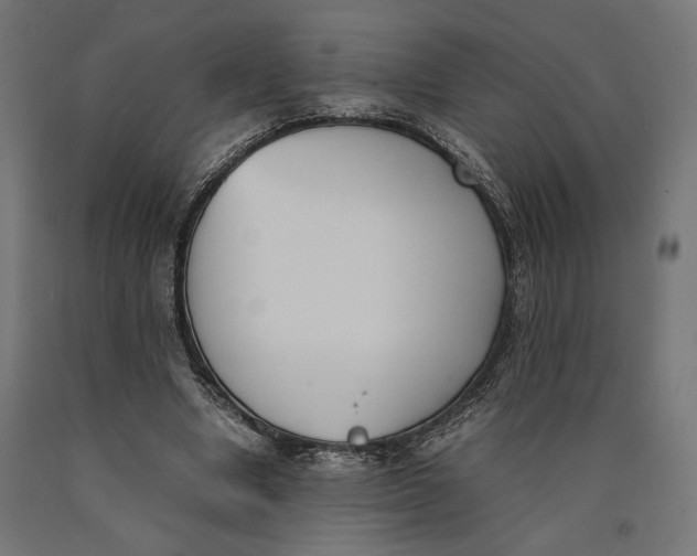 X0000090410442200708031046