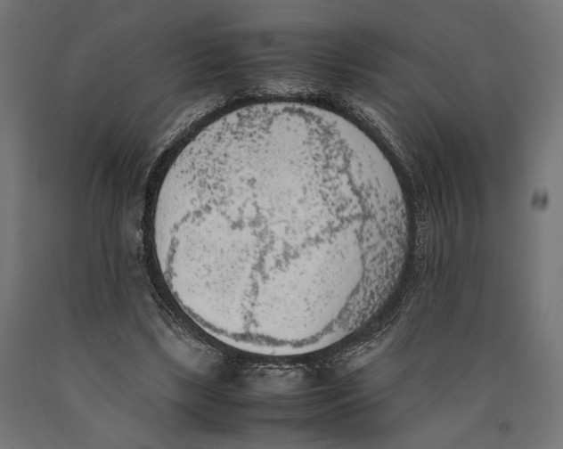 X0000090410443200708031046