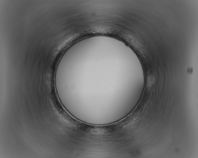 X0000090410444200708031046