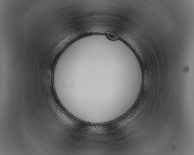 X0000090410445200708031046