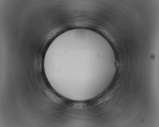 X0000090410446200708031046