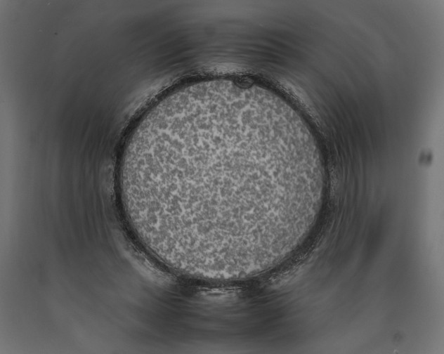 X0000090410447200708031046