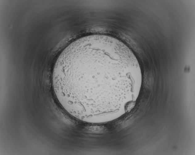 X0000090410449200708031046