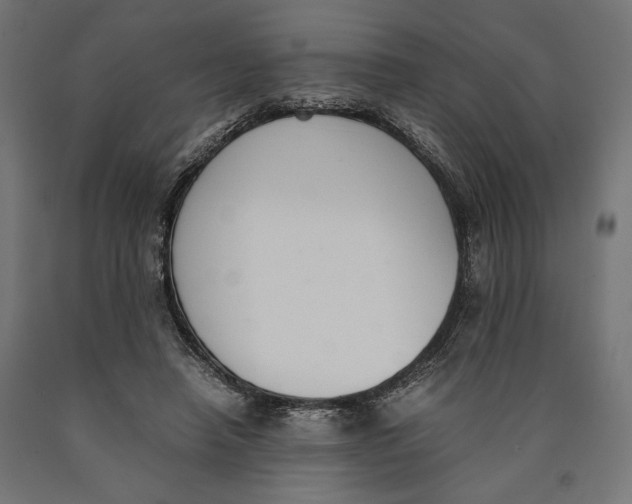 X0000090410450200708031046