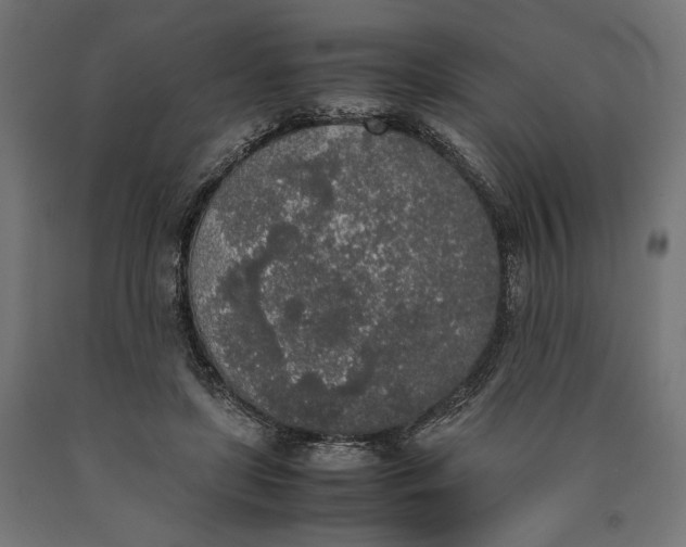 X0000090410451200708031046