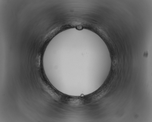 X0000090410454200708031046