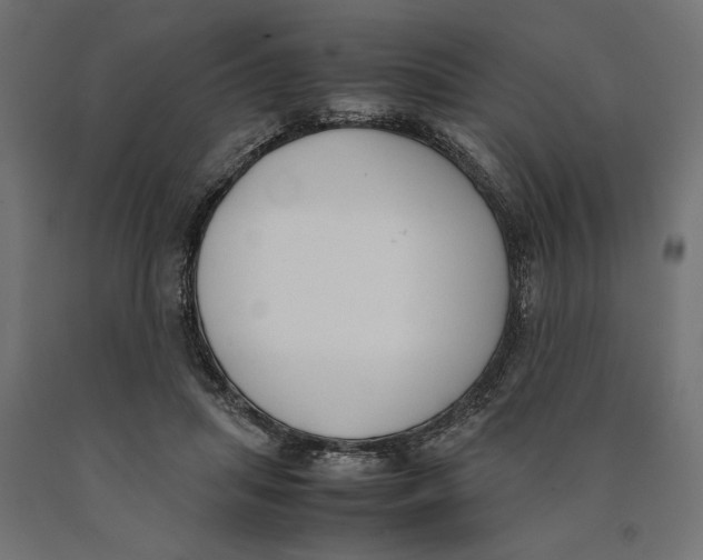 X0000090410455200708031046