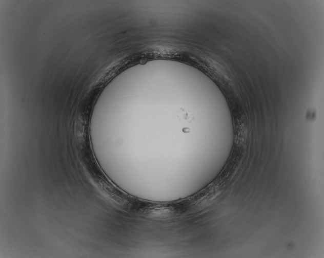 X0000090410456200708031046