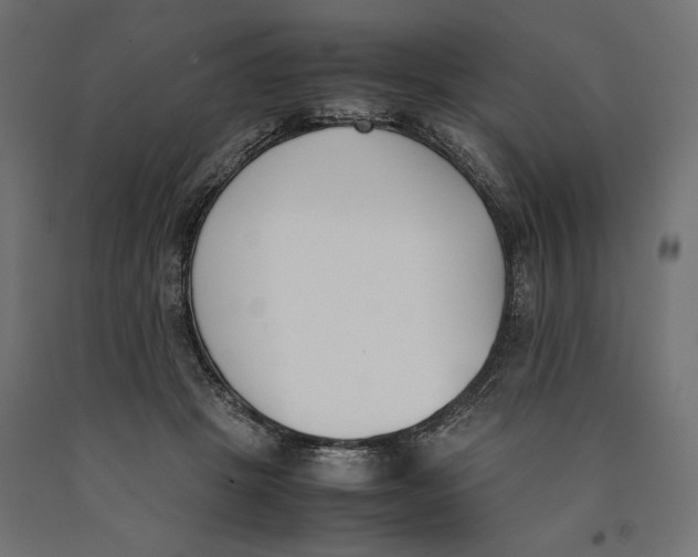 X0000090410457200708031046