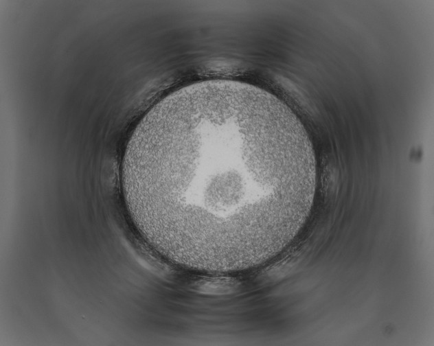 X0000090410459200708031046