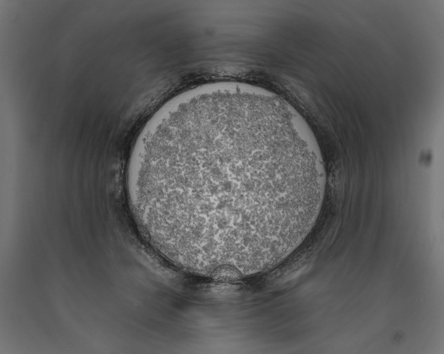 X0000090410462200708031046
