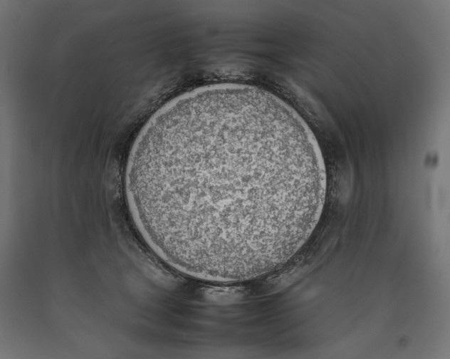 X0000090410465200708031046