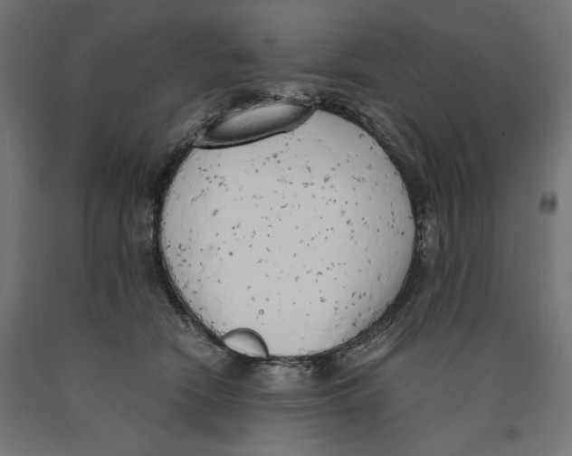 X0000090410466200708031046