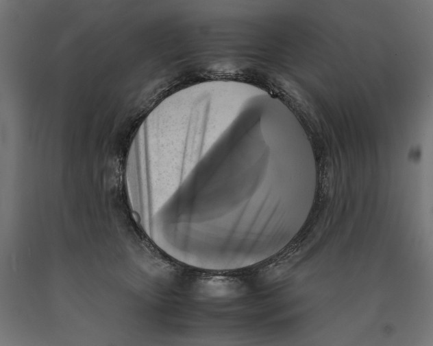 X0000090410467200708031046