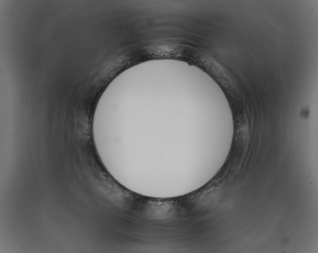 X0000090410469200708031046