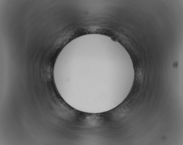 X0000090410470200708031046