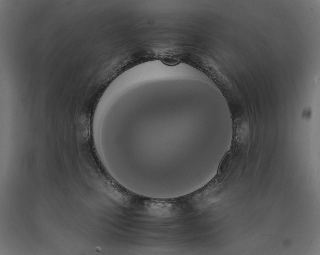 X0000090410471200708031046
