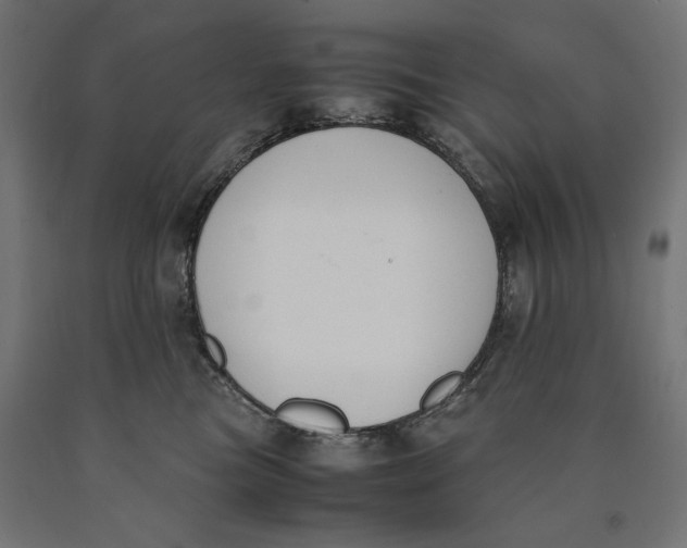 X0000090410473200708031046