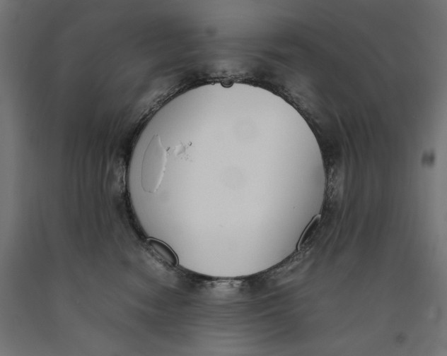X0000090410474200708031046