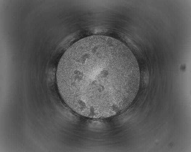 X0000090410475200708031046