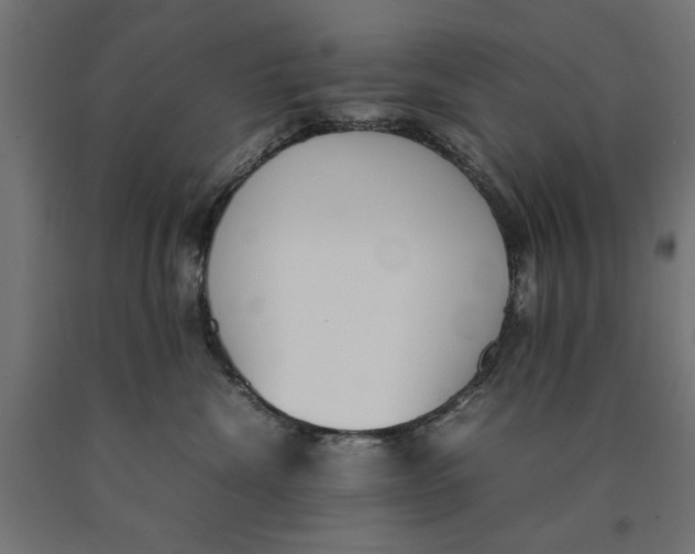 X0000090410476200708031046