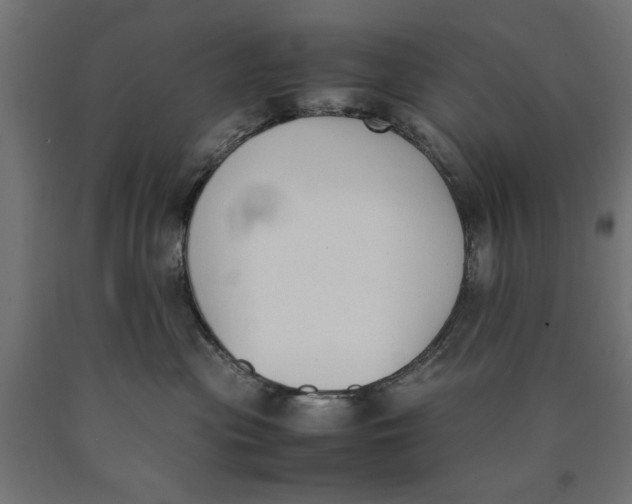 X0000090410477200708031046