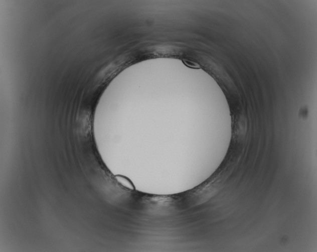 X0000090410478200708031046