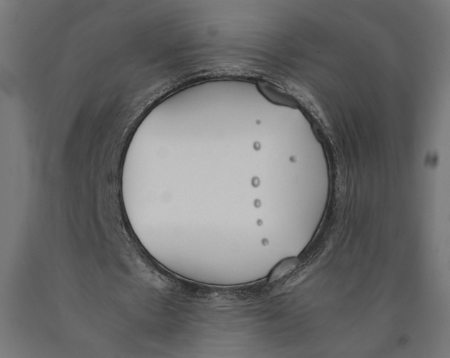 X0000090410481200708031046