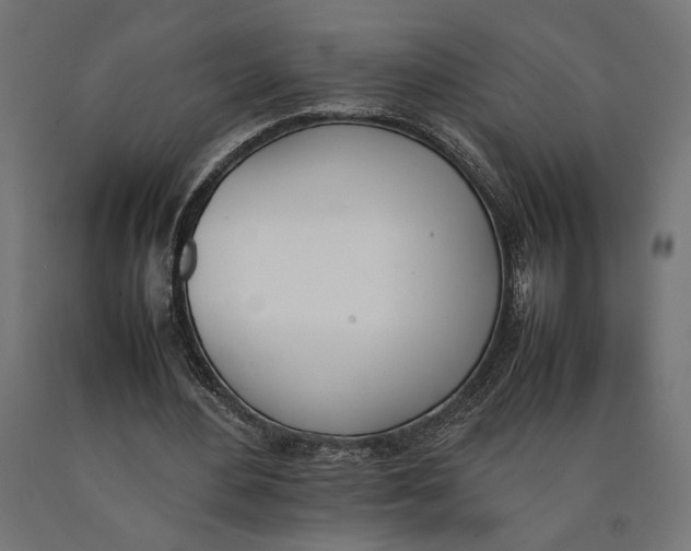 X0000090410484200708031046