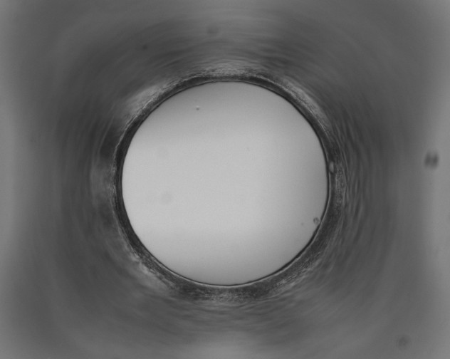 X0000090410485200708031046