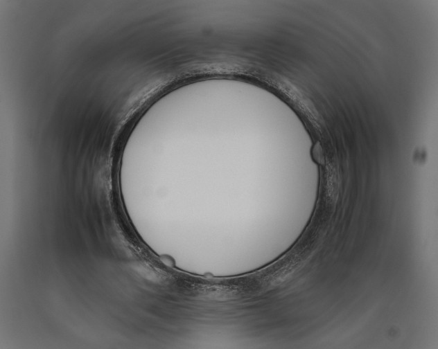 X0000090410486200708031046