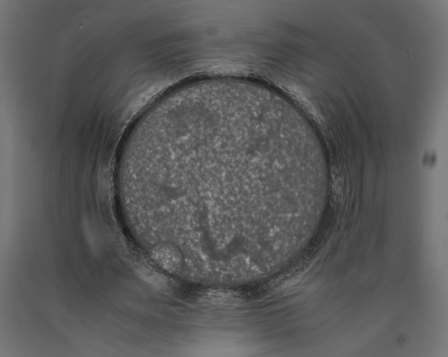 X0000090410487200708031046