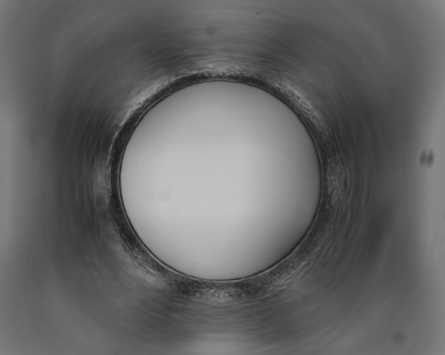 X0000090410488200708031046