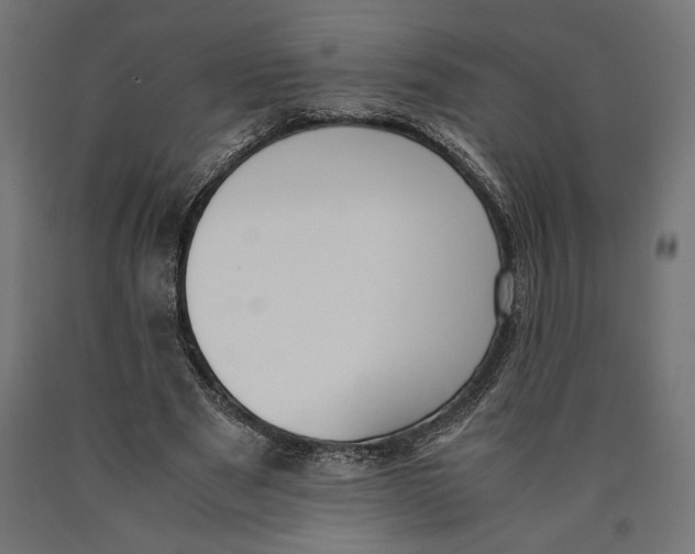 X0000090410489200708031046