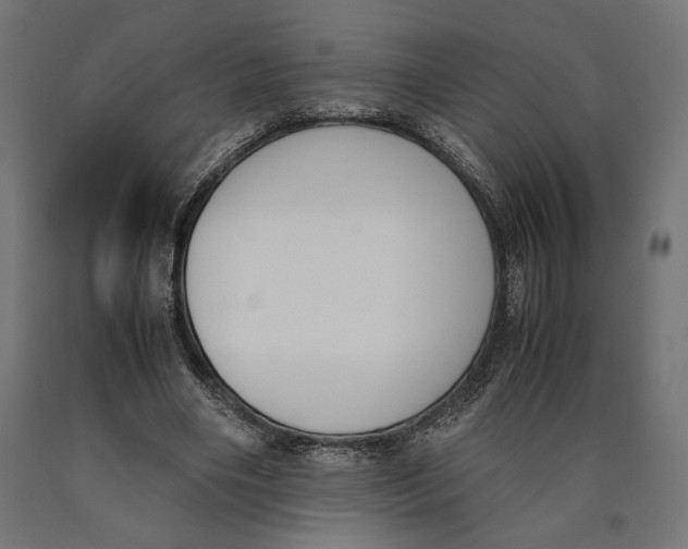 X0000090410490200708031046