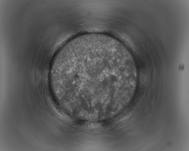 X0000090410491200708031046