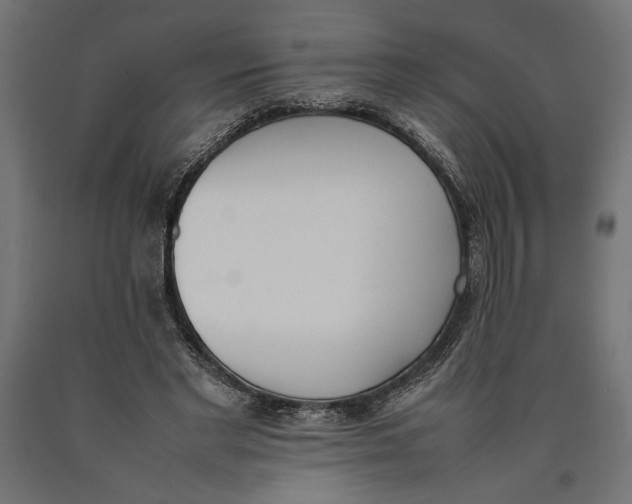 X0000090410493200708031046