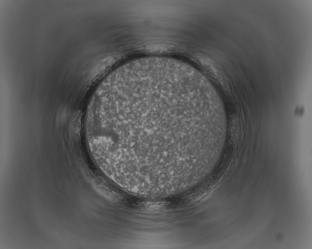 X0000090410495200708031046
