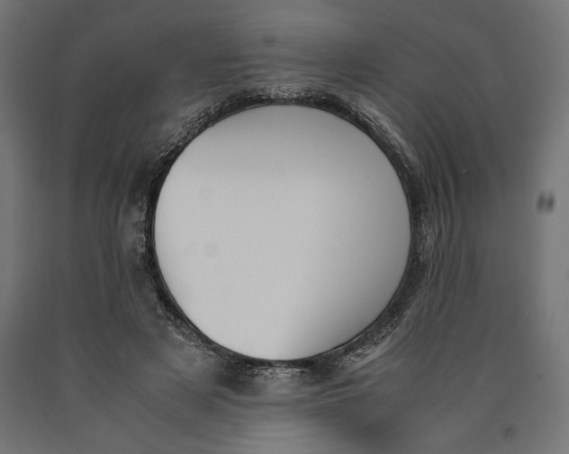 X0000090410497200708031046